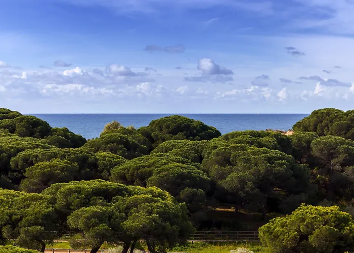 Hotel Barcelo Mar 4*